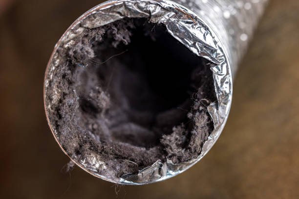 Best Local Air Duct Cleaning Services  in Magalia, CA